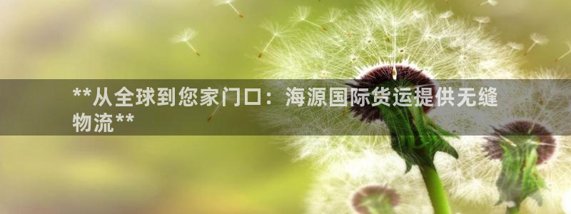 尊龙凯时发展历程：**从全球到您家门口：海源国际货运提供