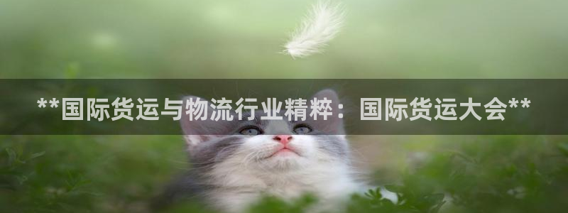 尊龙手机客户端下载：**国际货运与物流行业精粹：国际货运