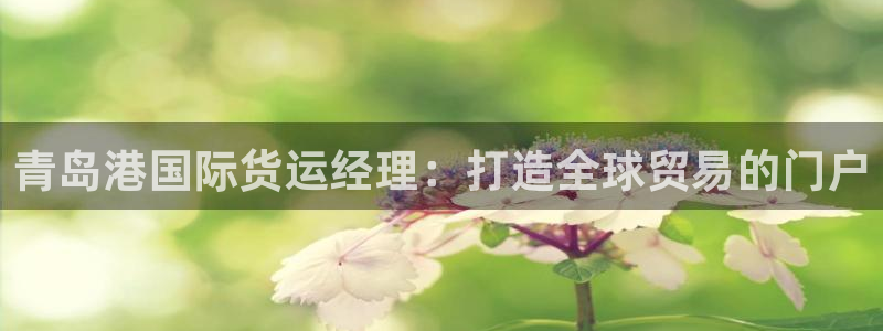 尊龙旗舰厅：青岛港国际货运经理：打造全球贸易的门户