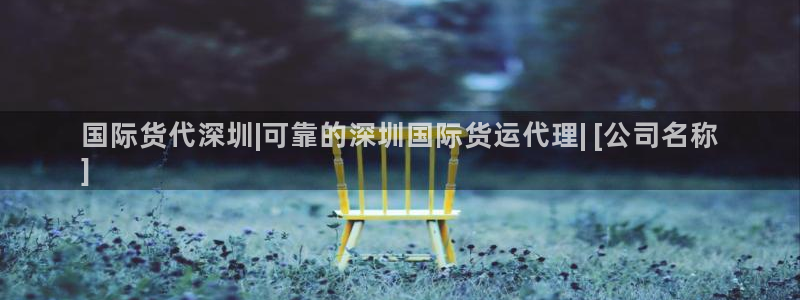 尊龙coming to my own：国际货代深圳|可靠