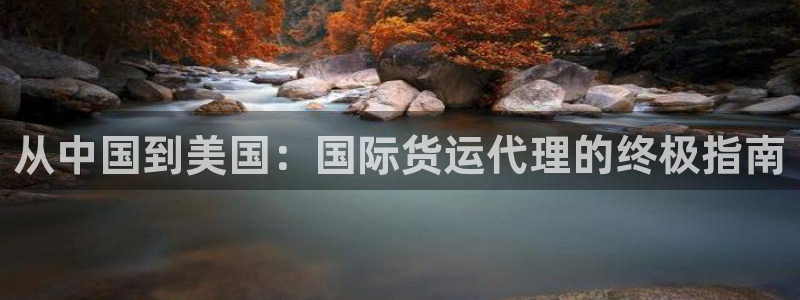 尊龙凯时app安装：从中国到美国：国际货运代理的终极指南
