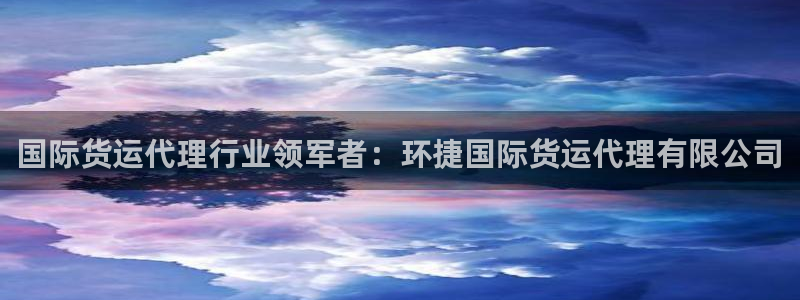 尊龙官网首页：国际货运代理行业领军者：环捷国际货运代理有