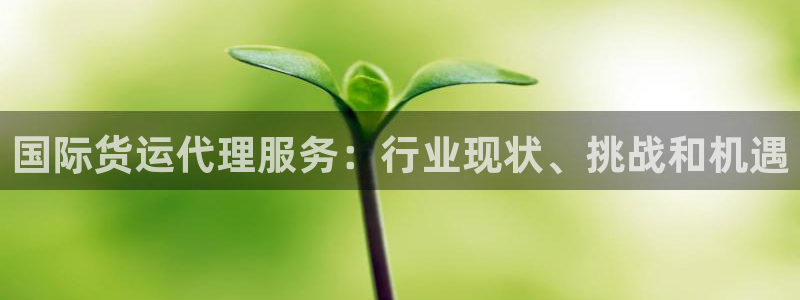 尊龙d88平台：国际货运代理服务：行业现状、挑战和机遇