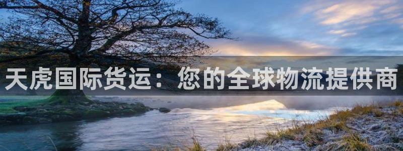 尊龙网站 人生就是博：天虎国际货运：您的全球物流提供商