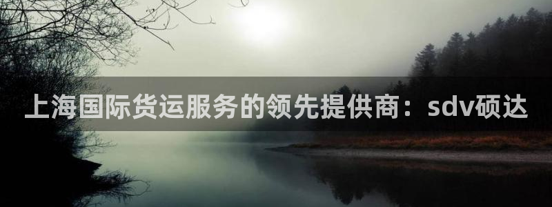 尊龙ag旗舰厅登陆：上海国际货运服务的领先提供商：sdv