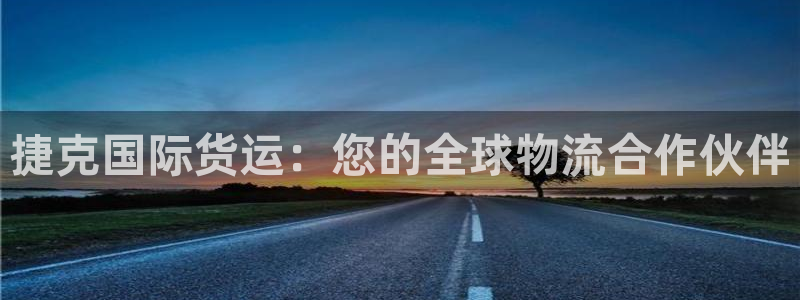尊龙凯时电竞：捷克国际货运：您的全球物流合作伙伴
