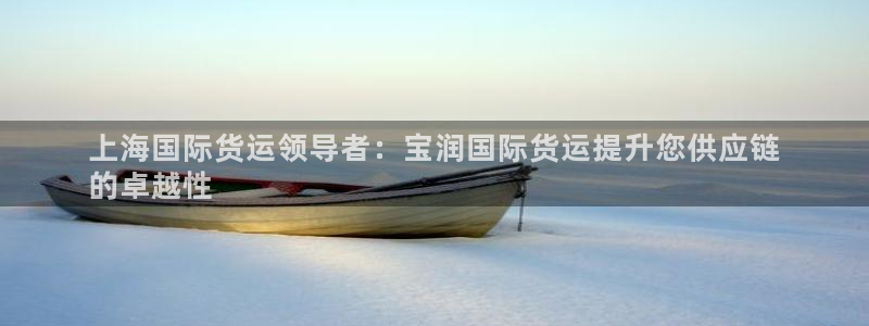 尊龙实业：上海国际货运领导者：宝润国际货运提升您供应链
