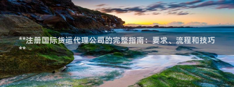 尊龙z6集团：**注册国际货运代理公司的完整指南：要求、