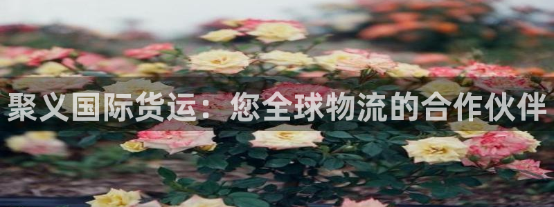 尊龙凯时导航菜单首页：聚义国际货运：您全球物流的合作伙伴