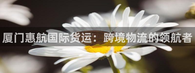 尊龙凯时注册：厦门惠航国际货运：跨境物流的领航者