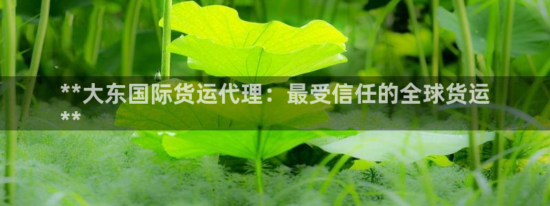 尊龙凯时官网登录入口：**大东国际货运代理：最受信任的全