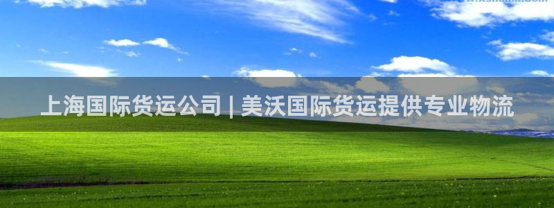 尊龙凯时存款多久到账：上海国际货运公司 | 美沃国际货运