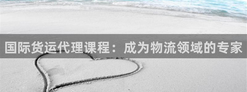 尊龙人生就是博ag：国际货运代理课程：成为物流领域的专家