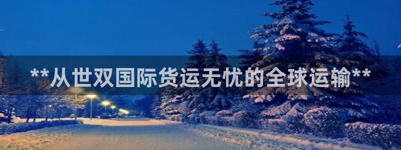 尊龙凯时赞助：**从世双国际货运无忧的全球运输**