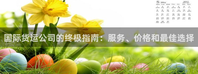 尊龙凯时ag旗舰：国际货运公司的终极指南：服务、价格和最