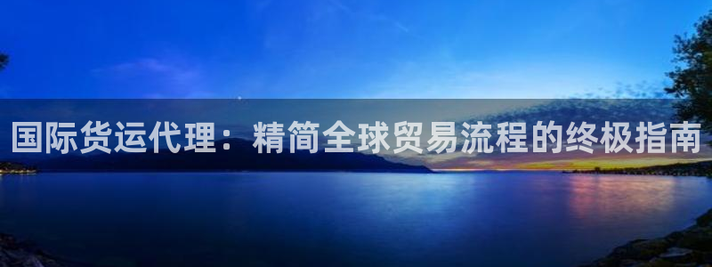 尊龙165：国际货运代理：精简全球贸易流程的终极指南