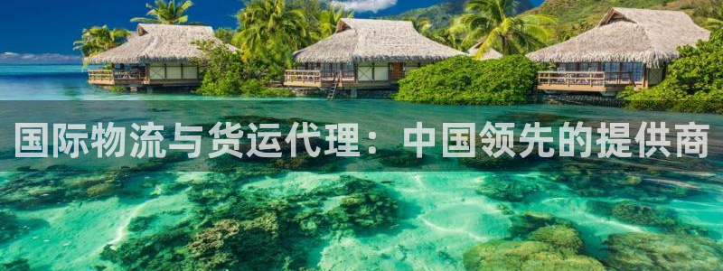 z6com尊龙：国际物流与货运代理：中国领先的提供商