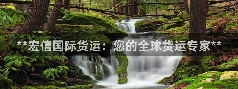 尊龙凯时用户名m：**宏信国际货运：您的全球货运专家**