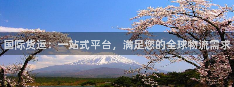 尊龙集团：国际货运：一站式平台，满足您的全球物流需求