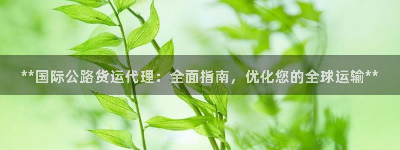 尊龙2020：**国际公路货运代理：全面指南，优化您的全