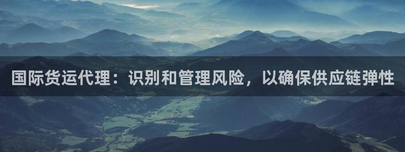 Z6尊龙凯时登录：国际货运代理：识别和管理风险，以确保供