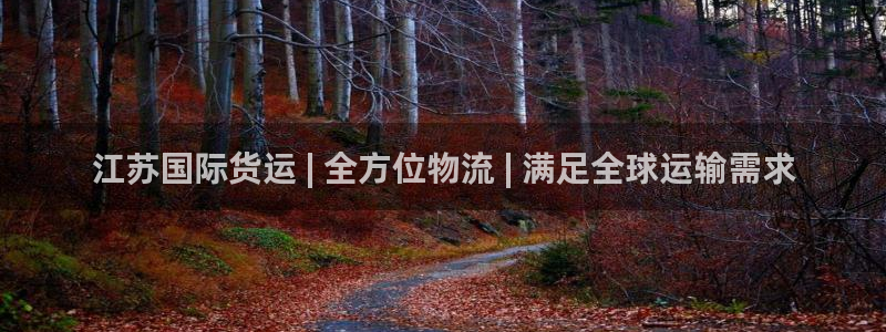 尊龙凯时产品种类：江苏国际货运 | 全方位物流 | 满足