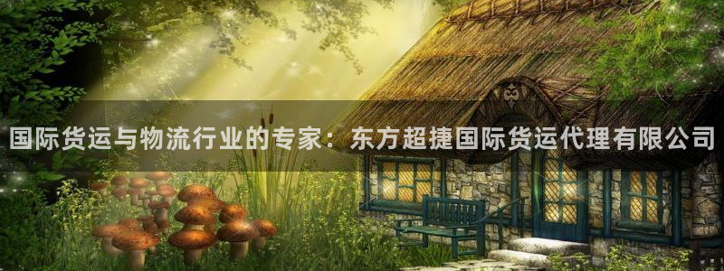 尊龙官方网站首页：国际货运与物流行业的专家：东方超捷国际