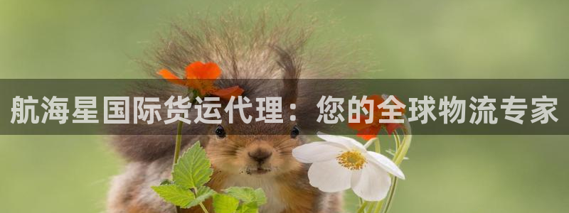 尊龙凯时防屏蔽网址：航海星国际货运代理：您的全球物流专家