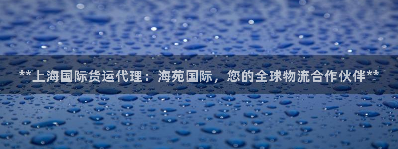 尊龙t600：**上海国际货运代理：海苑国际，您的全球物