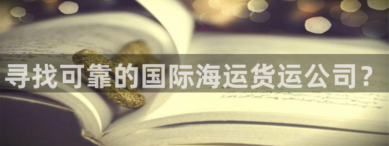 尊龙官网手：寻找可靠的国际海运货运公司？