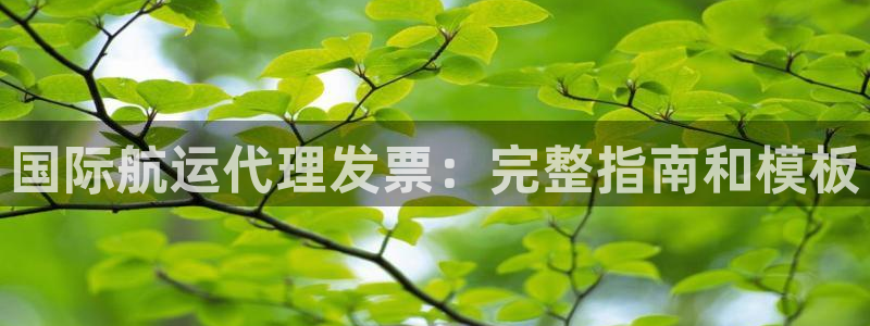 尊龙凯时官网网页版：国际航运代理发票：完整指南和模板