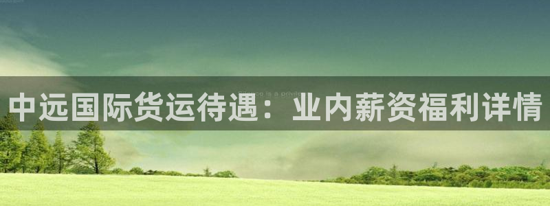 尊龙 国外：中远国际货运待遇：业内薪资福利详情