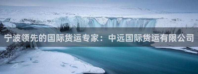 尊龙软件下载：宁波领先的国际货运专家：中远国际货运有限公