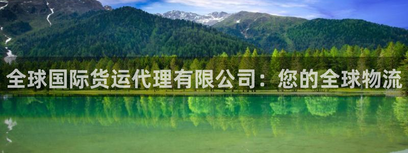 尊龙实业有限公司：全球国际货运代理有限公司：您的全球物流