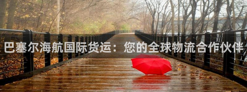 尊龙 5：巴塞尔海航国际货运：您的全球物流合作伙伴