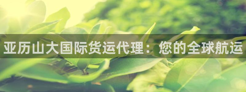 尊龙王t400：亚历山大国际货运代理：您的全球航运