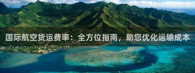 尊龙人生就是博i可靠吗：国际航空货运费率：全方位指南，助