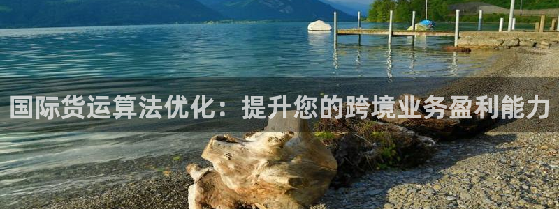 尊龙d88平台版下载：国际货运算法优化：提升您的跨境业务