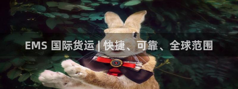 尊龙凯时人生就是博游戏网站：EMS 国际货运 | 快捷、