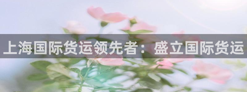 尊龙凯时人生就是博官网登录：上海国际货运领先者：盛立国际