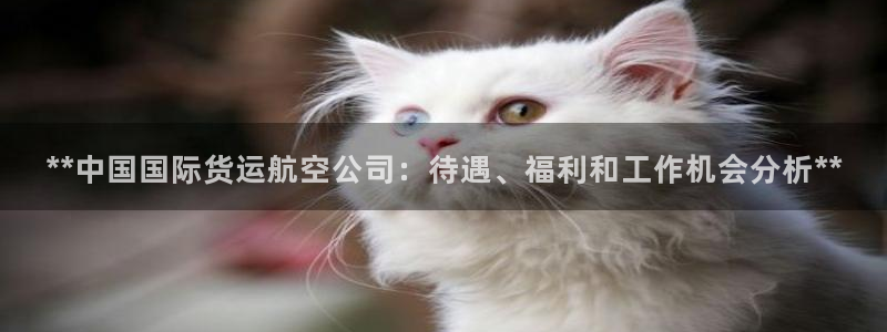 尊龙怎么没消息了：**中国国际货运航空公司：待遇、福利和