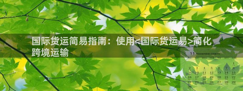 尊龙凯时防屏蔽网址：国际货运简易指南：使用<国际货运易>