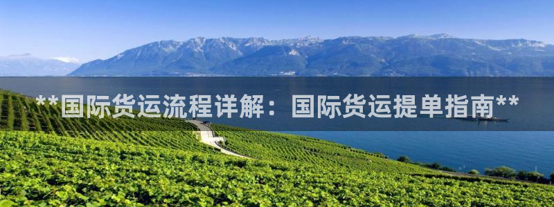 尊龙凯时总部在哪里：**国际货运流程详解：国际货运提单指