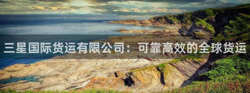尊龙凯时ag旗舰厅官网客服：三星国际货运有限公司：可靠高