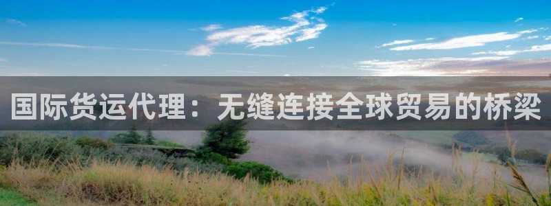 尊龙官方网站是真的吗：国际货运代理：无缝连接全球贸易的桥