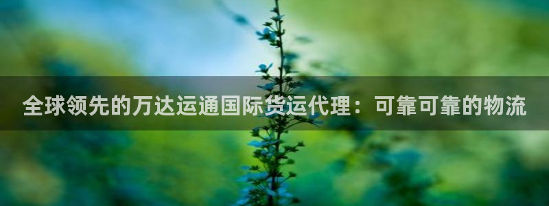 尊龙d88手机版下载：全球领先的万达运通国际货运代理：可