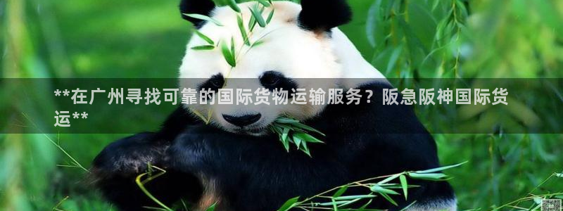 尊龙凯时官网首页：**在广州寻找可靠的国际货物运输服务？