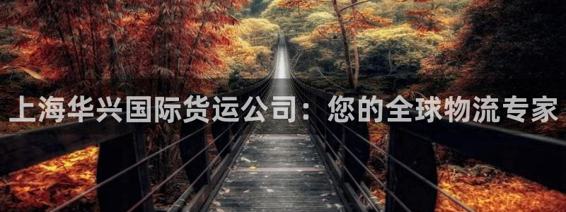 尊龙凯时不朽情缘：上海华兴国际货运公司：您的全球物流专家