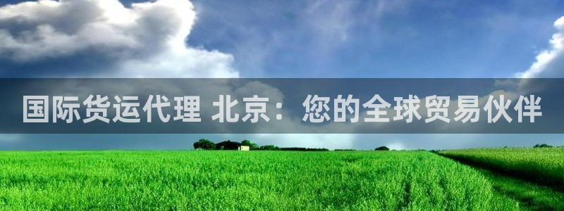 尊龙凯时注册：国际货运代理 北京：您的全球贸易伙伴