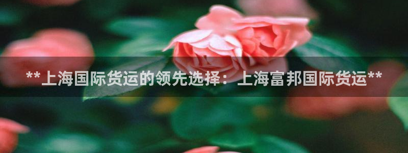 旧版尊龙人生就是博下载：**上海国际货运的领先选择：上海